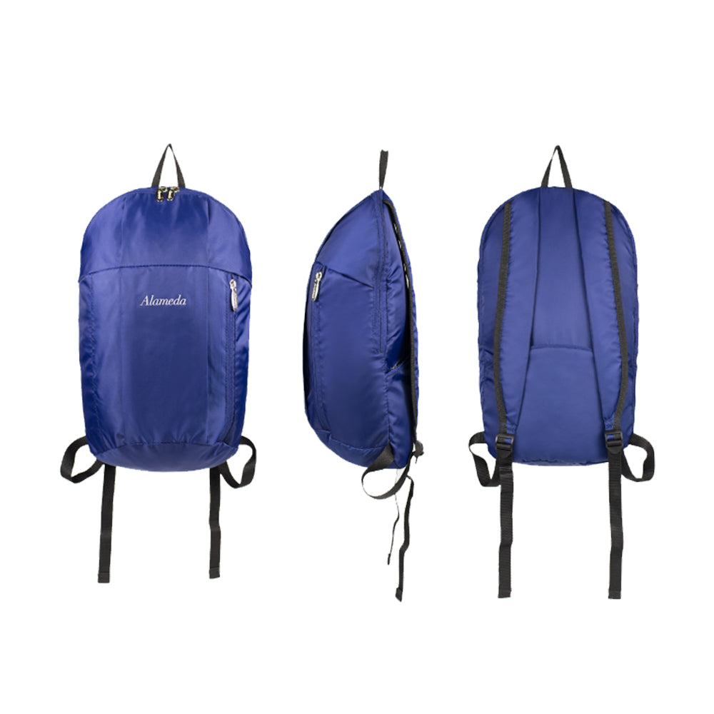 ALAMEDA Travel lite Diaper Bag - Navy Blue