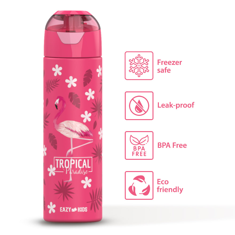 EAZY KIDS 6 & 4 Convertible Bento Lunch Box with Stainless Steel 640ml Water Bottle and Sandwich Cutter Set & Food Jar - Tropical Pink