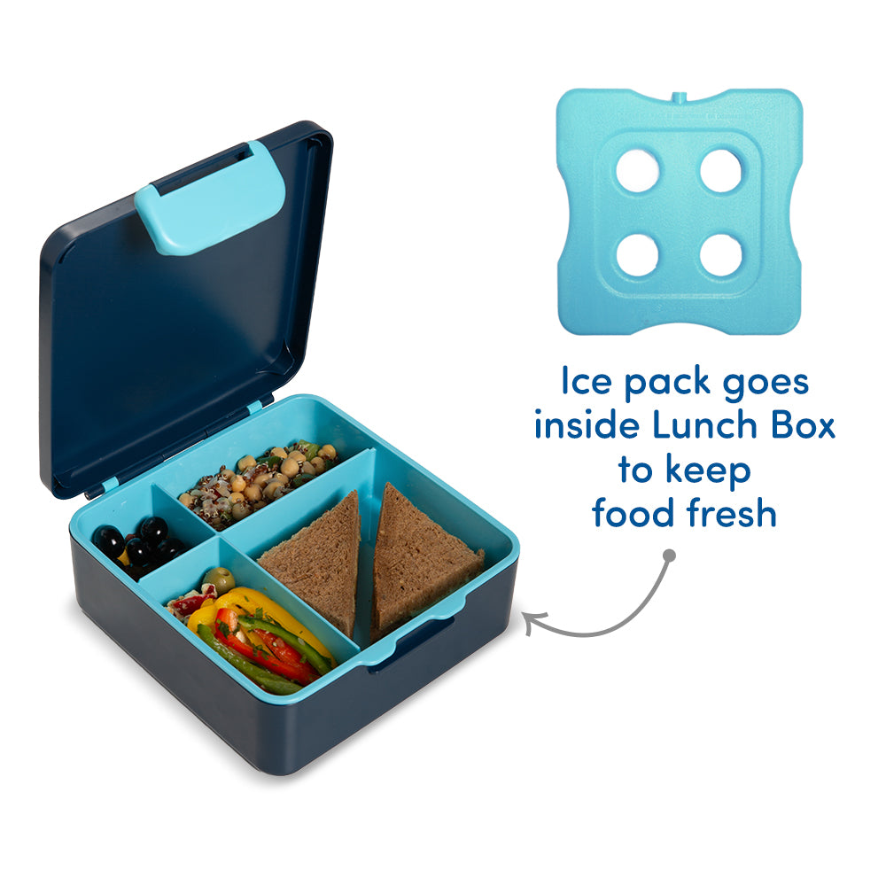EAZY KIDS Jumbo Bento Lunch Box w/360ml Steel Water Bottle, Spoon & Fork Set, and Insulated Lunch Bag - Aircraft Blue