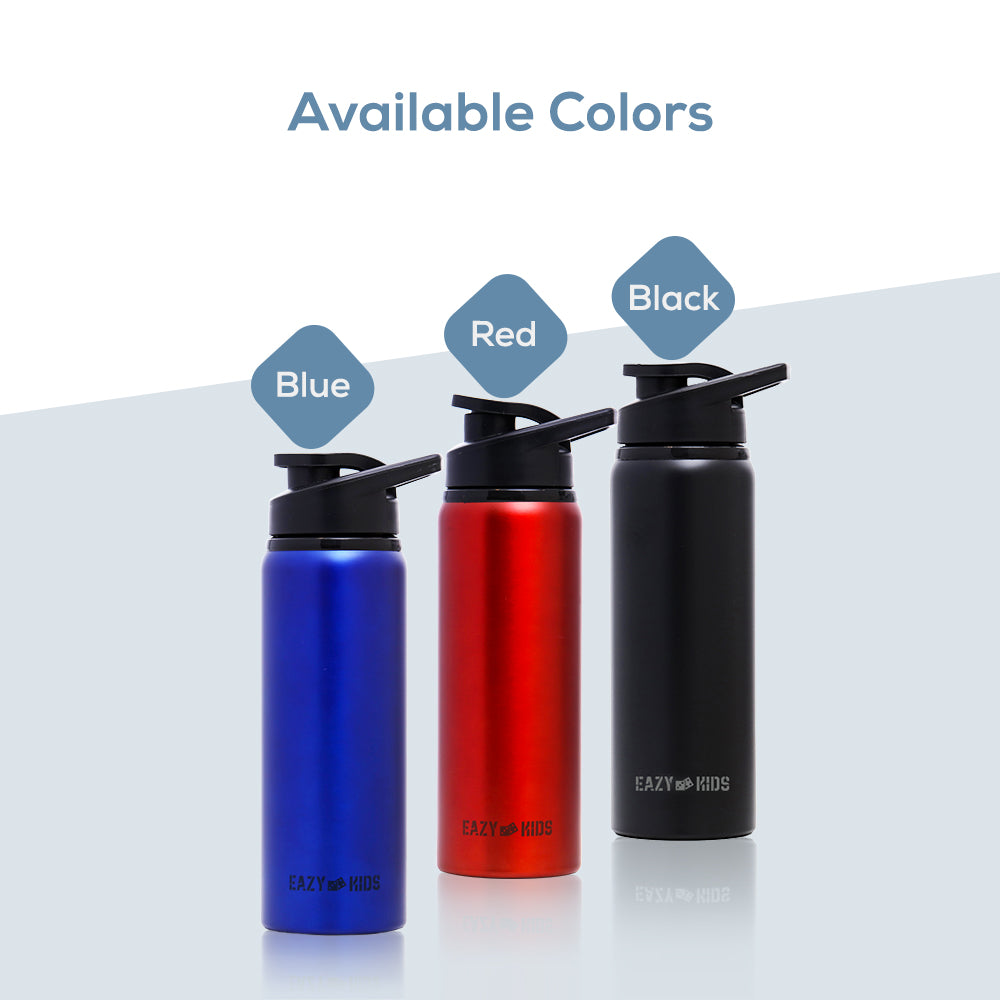 EAZY KIDS Stainless Steel Sports Water Bottle - Blue, 700ml