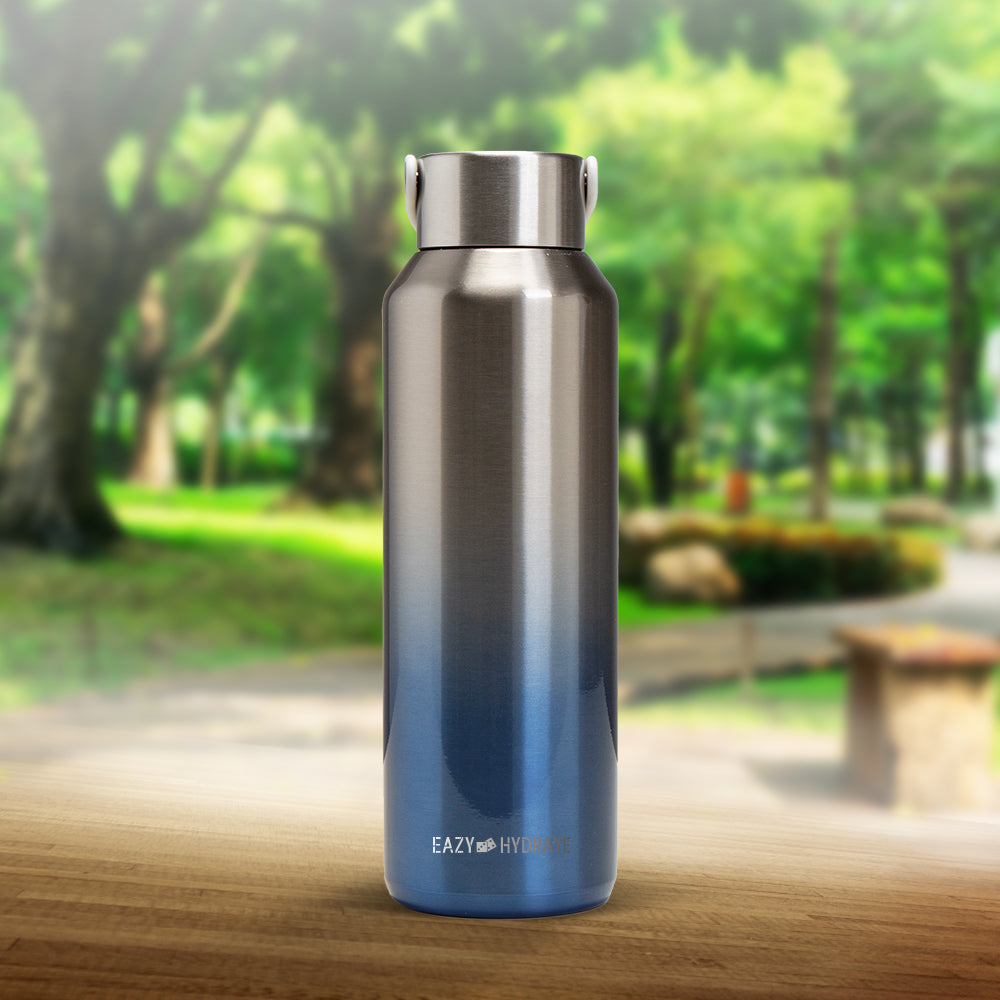 EAZY KIDS Stainless Steel Water Bottle, 710ml Silver