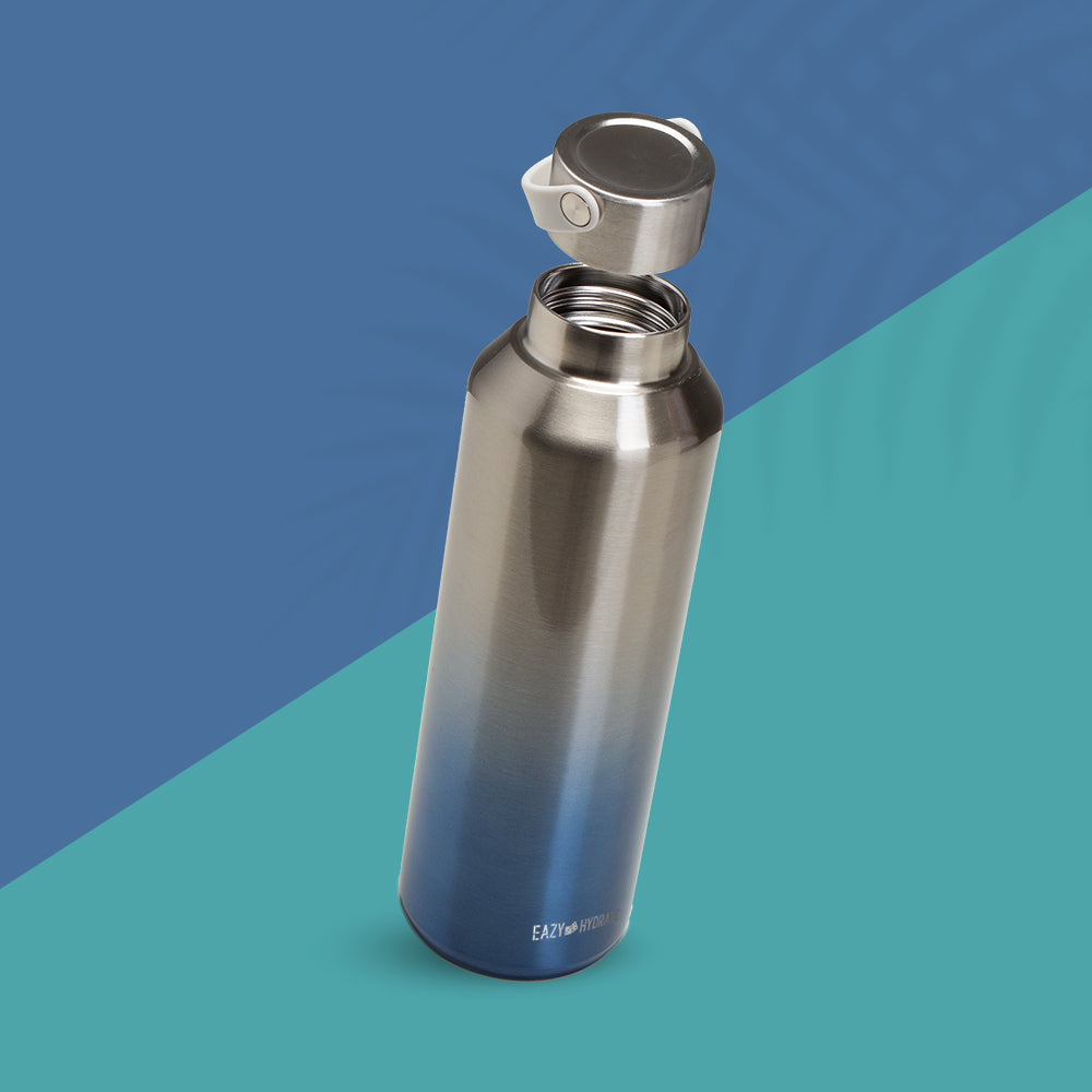 EAZY KIDS Stainless Steel Water Bottle, 710ml Silver