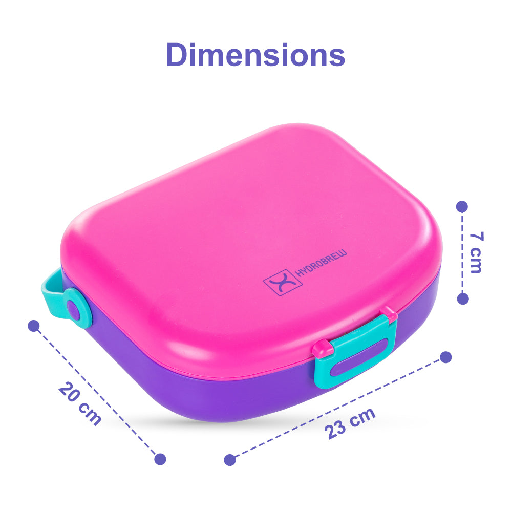 HYDROBREW 4 Compartment Bento Lunch Box w/Spoon & Fork Set - Fuchsia