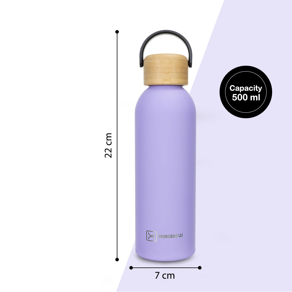 Hydrobrew Double Wall Stainless Steel Water Bottle 500ML - Purple