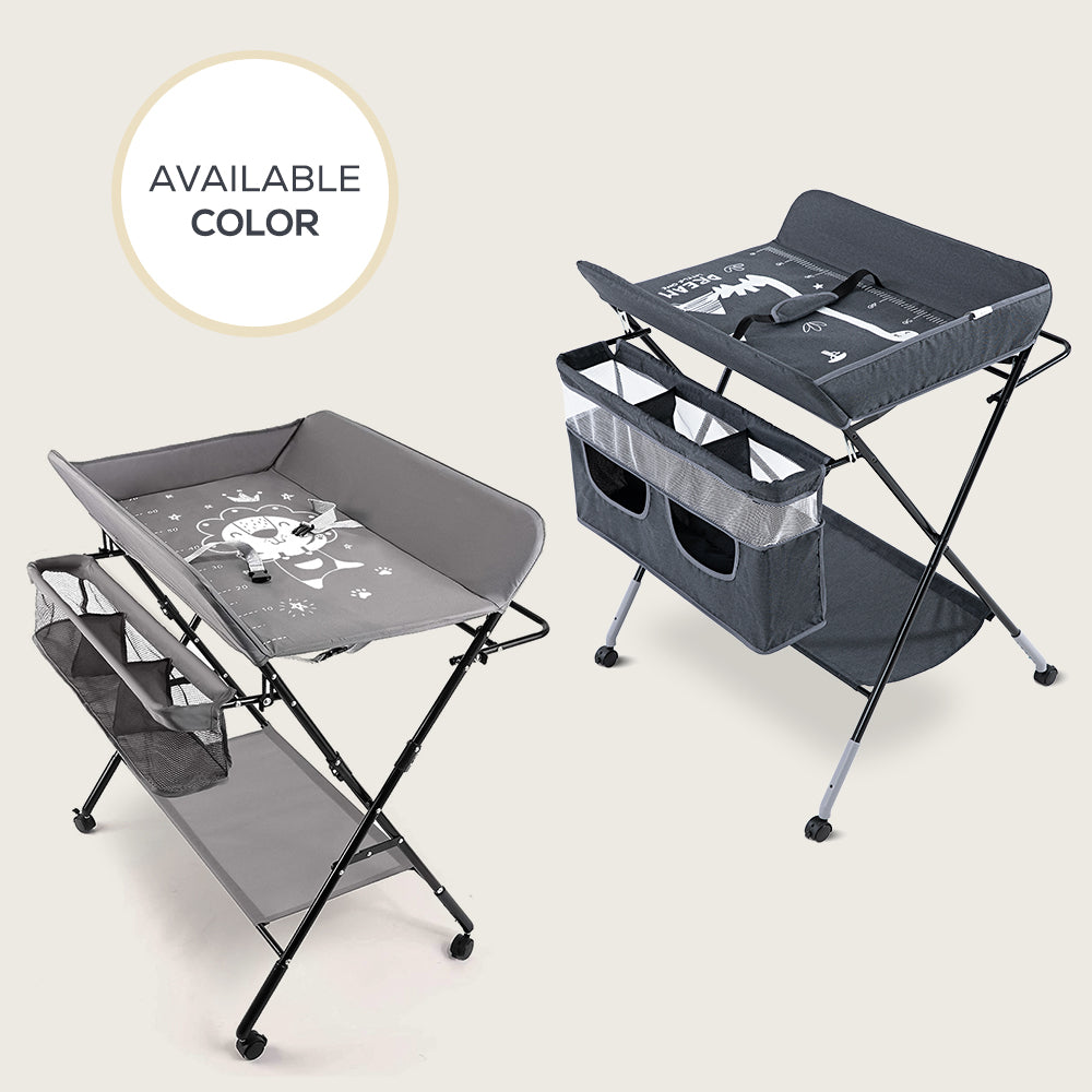 TEKNUM 4 - in - 1 Diaper Changing Table Organizer - Charcoal Grey