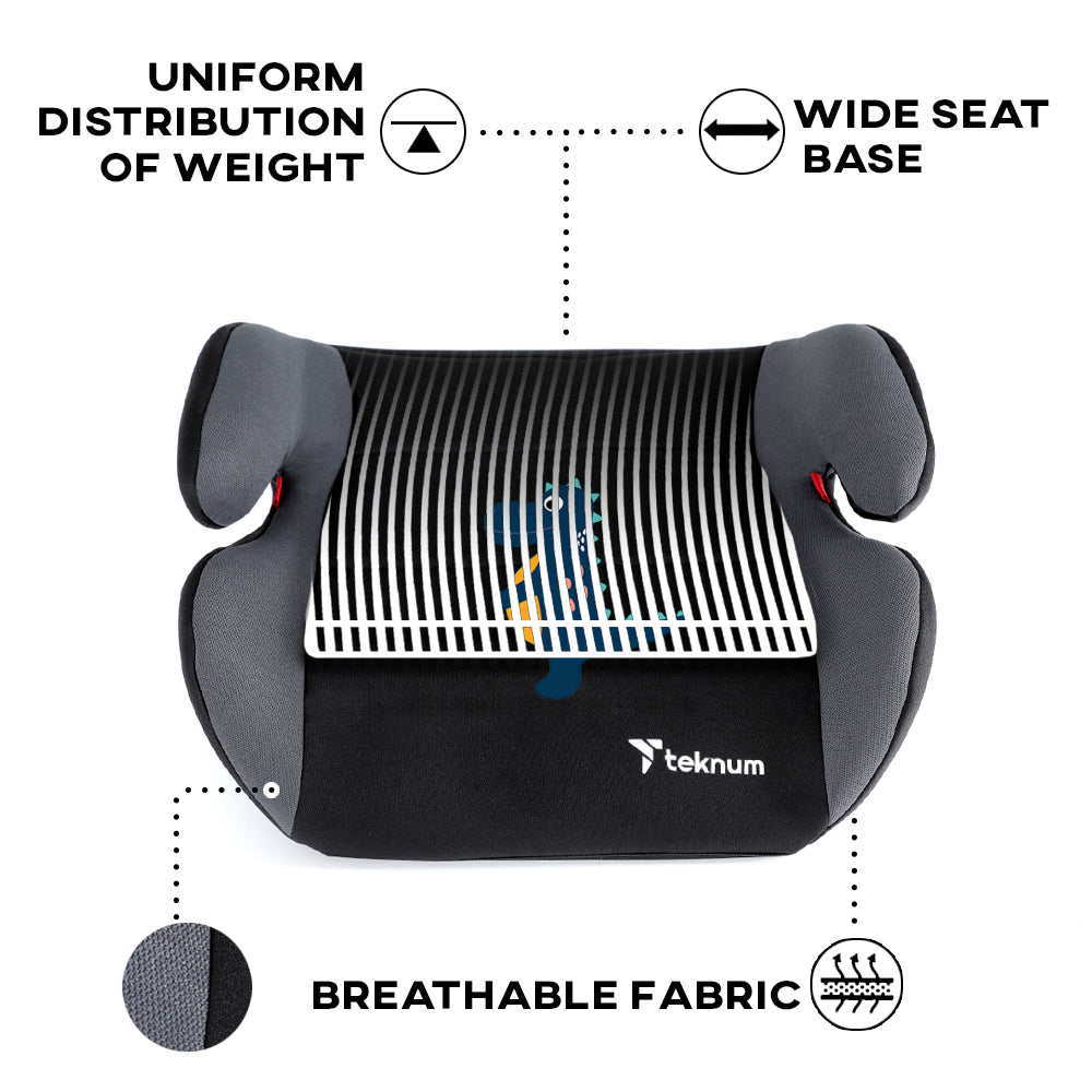 TEKNUM Happy Dinosaur Car Seat Booster - Grey