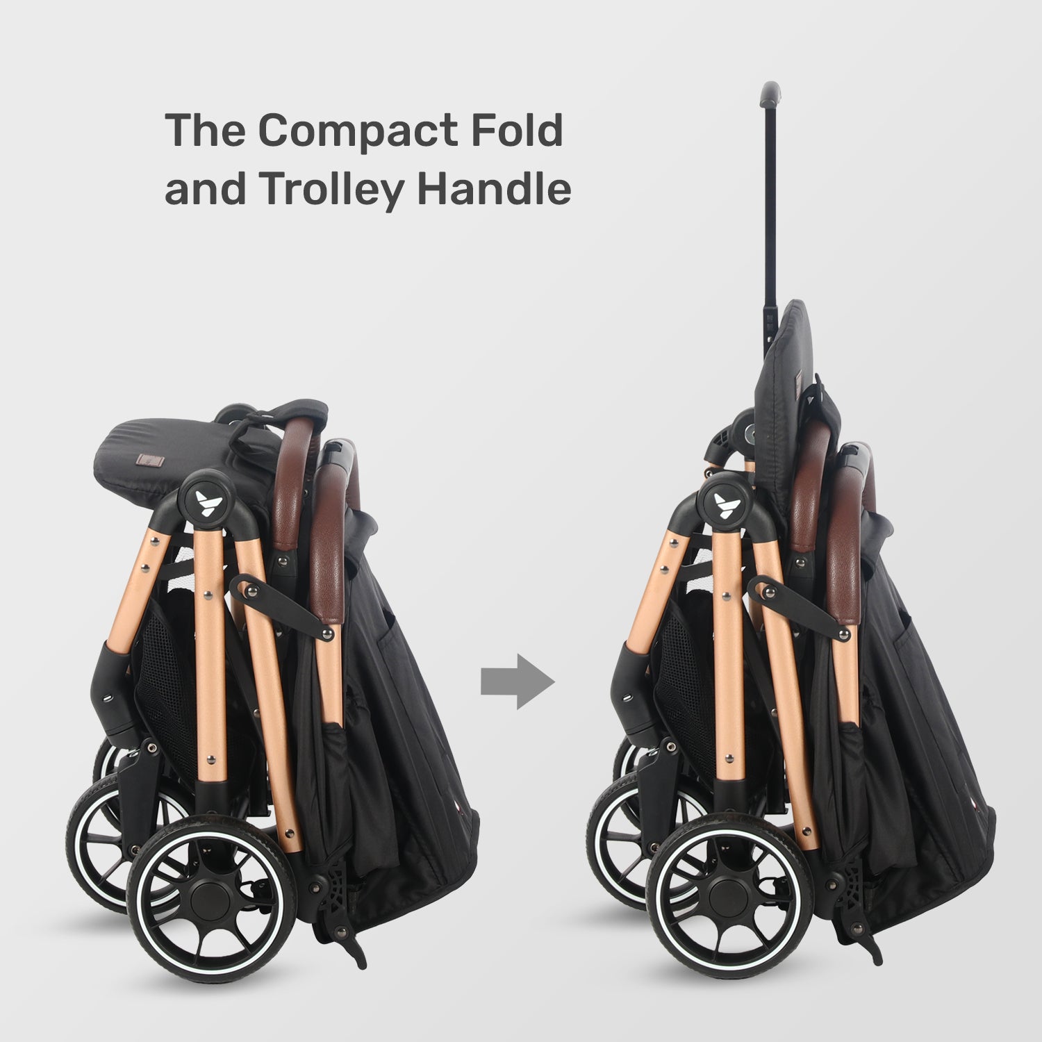 TEKNUM Travel Cabin Plus Stroller - Sunshine Black