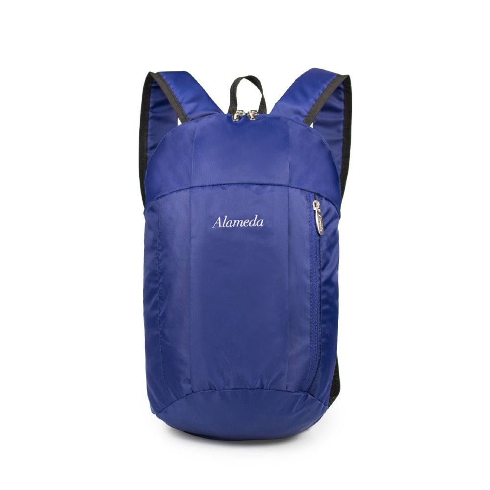 ALAMEDA Travel lite Diaper Bag - Navy Blue