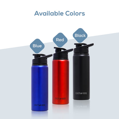 EAZY KIDS Stainless Steel Sports Water Bottle - Blue, 700ml
