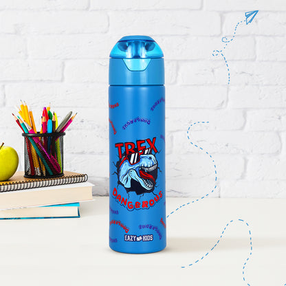 EAZY KIDS Insulated Steel Water Bottle w/Spray Dino - 640ml