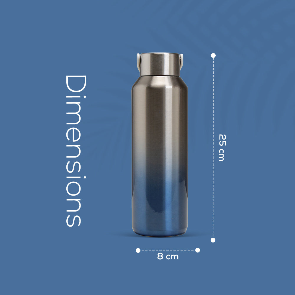 EAZY KIDS Stainless Steel Water Bottle, 710ml Silver
