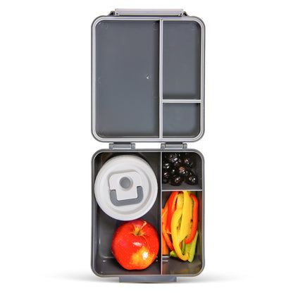 HYDROBREW Bento Lunch Box w/Steel Food Jar - Dinosaurs Grey