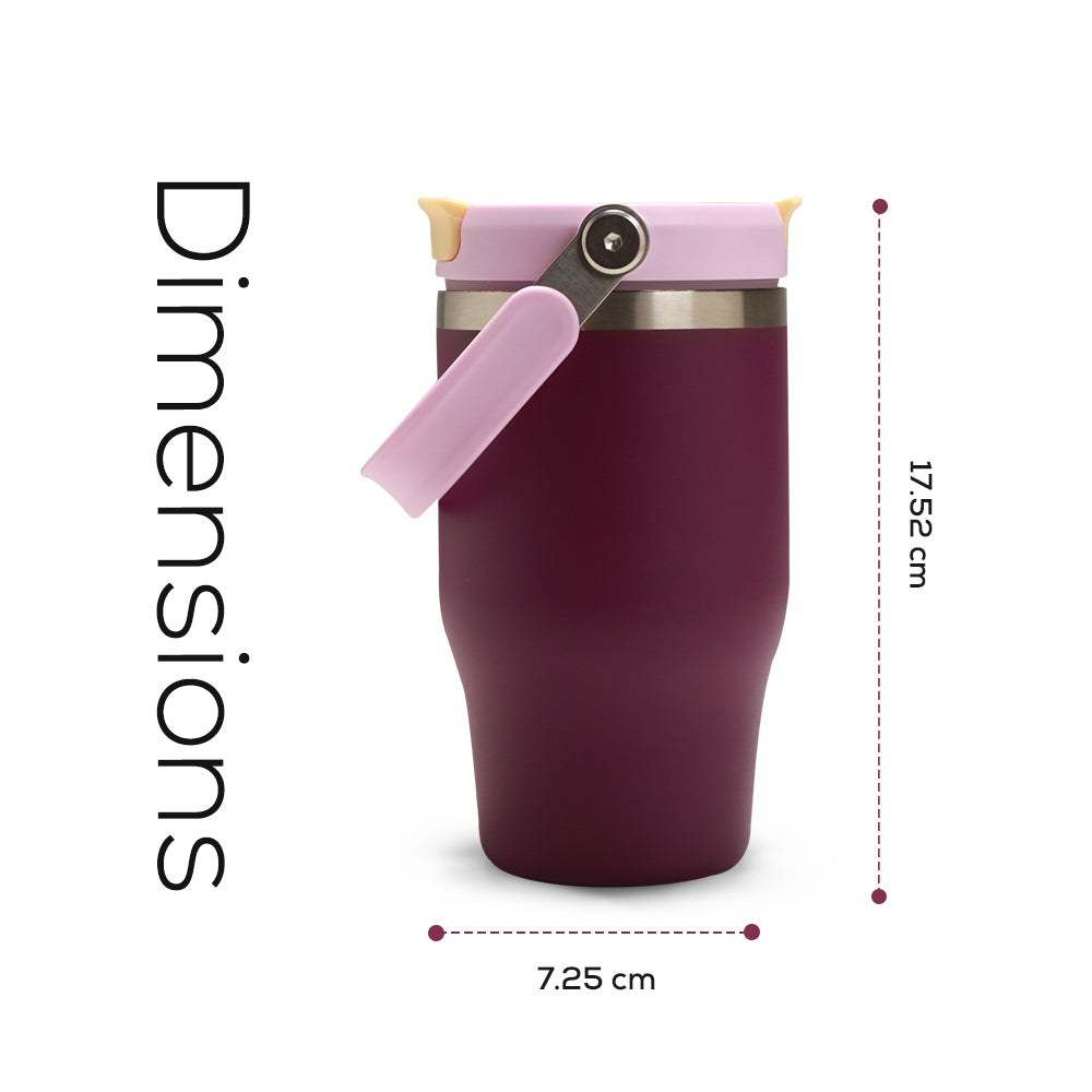 HYDROBREW Vacuum Insulated Tumbler w/handle, 500ml Purple