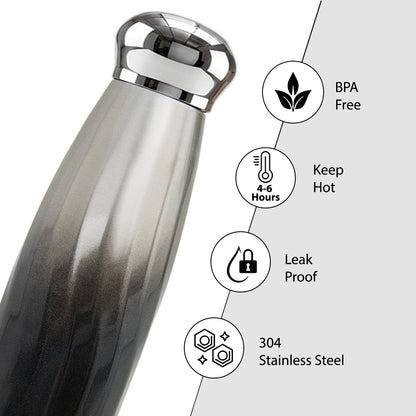 Hydrobrew Double Wall Stainless Steel Water Bottle 420ml – Leakproof Insulated Bottle, Graphite Glow