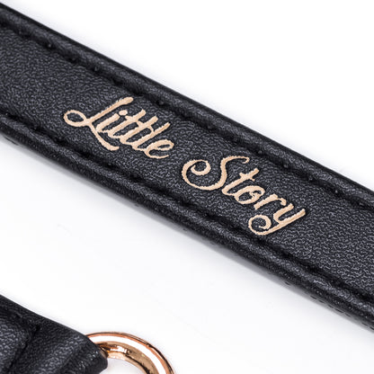 LITTLE STORY Premium Stroller Hooks - Black