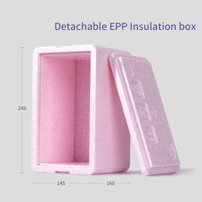 SUNVENO - Insulated Lunch Bag wt Thermos Box - Green