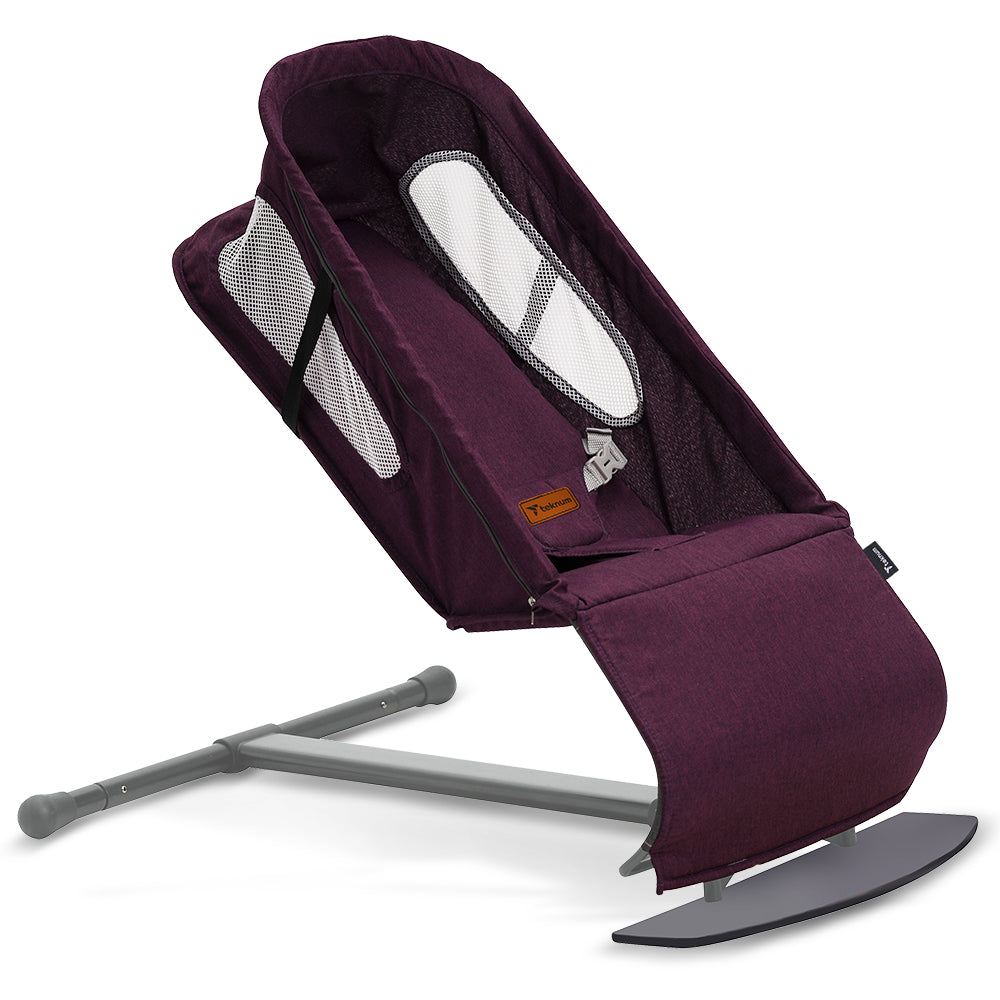TEKNUM Baby Bouncer w/Grab Toys - Purple