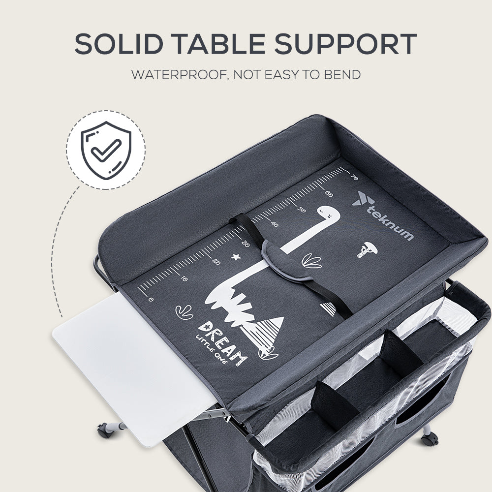 TEKNUM 4 - in - 1 Diaper Changing Table Organizer - Charcoal Grey