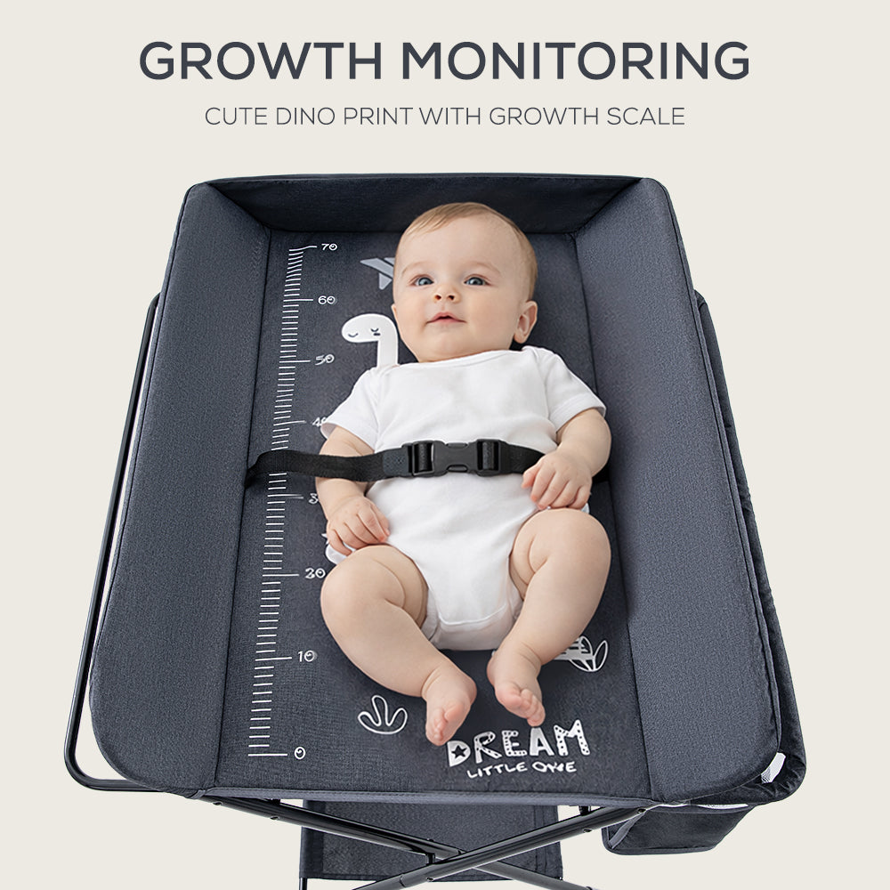 TEKNUM 4 - in - 1 Diaper Changing Table Organizer - Charcoal Grey