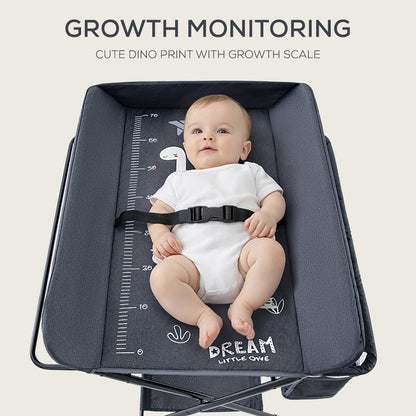 TEKNUM 4 - in - 1 Diaper Changing Table Organizer - Charcoal Grey