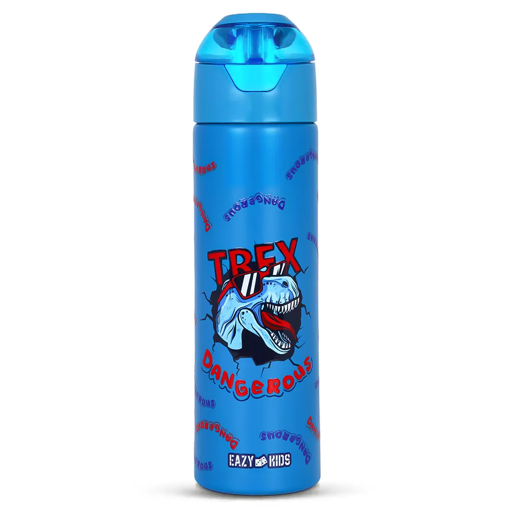 Eazy Kids Double Wall Insulated Steel Water Bottle with Spray Dinosaur Blue, 640ml