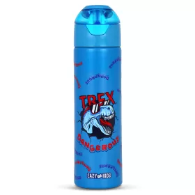 Eazy Kids Double Wall Insulated Steel Water Bottle with Spray Dinosaur Blue, 640ml