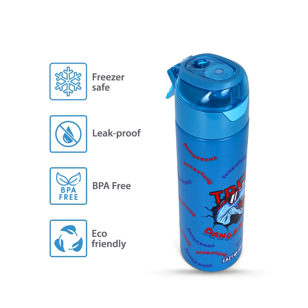 Eazy Kids Double Wall Insulated Steel Water Bottle with Spray Dinosaur Blue, 640ml