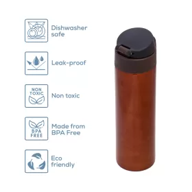 Eazy Kids Double Wall Insulated Travel Water Bottle - Antique Copper, 500ml