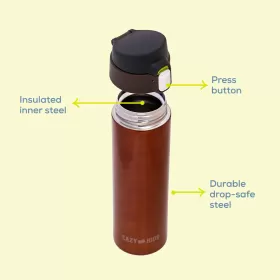 Eazy Kids Double Wall Insulated Travel Water Bottle - Antique Copper, 500ml