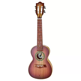 Little Story - Kids Ukulele 25inch Musical Instrument