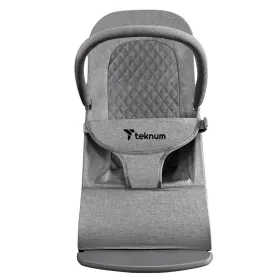 Teknum 3 - Stage Baby Bouncer / Recliner Seat - Grey