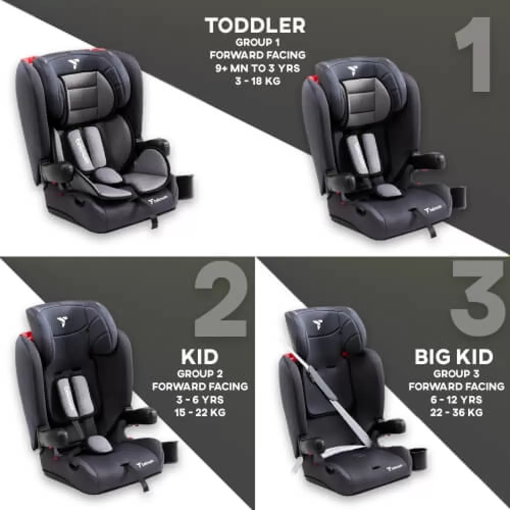 Teknum Pack and Go Foldable Car Seat Grey